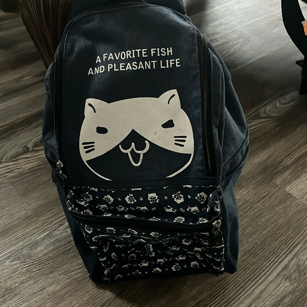 Backpack bought in japan.
